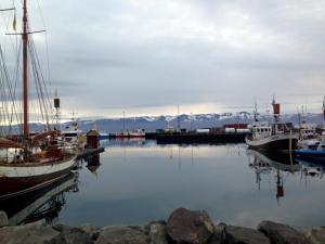 Iceland_Husavik
